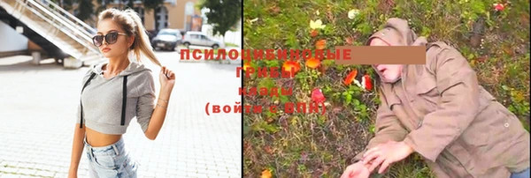 тгк Беломорск
